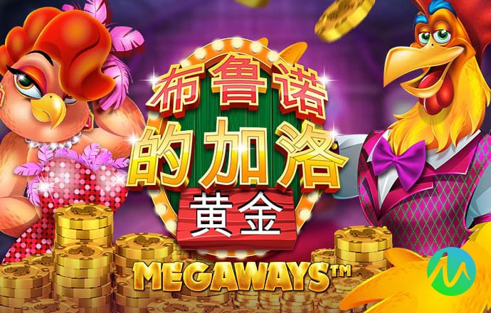 BSportAPP在线登录